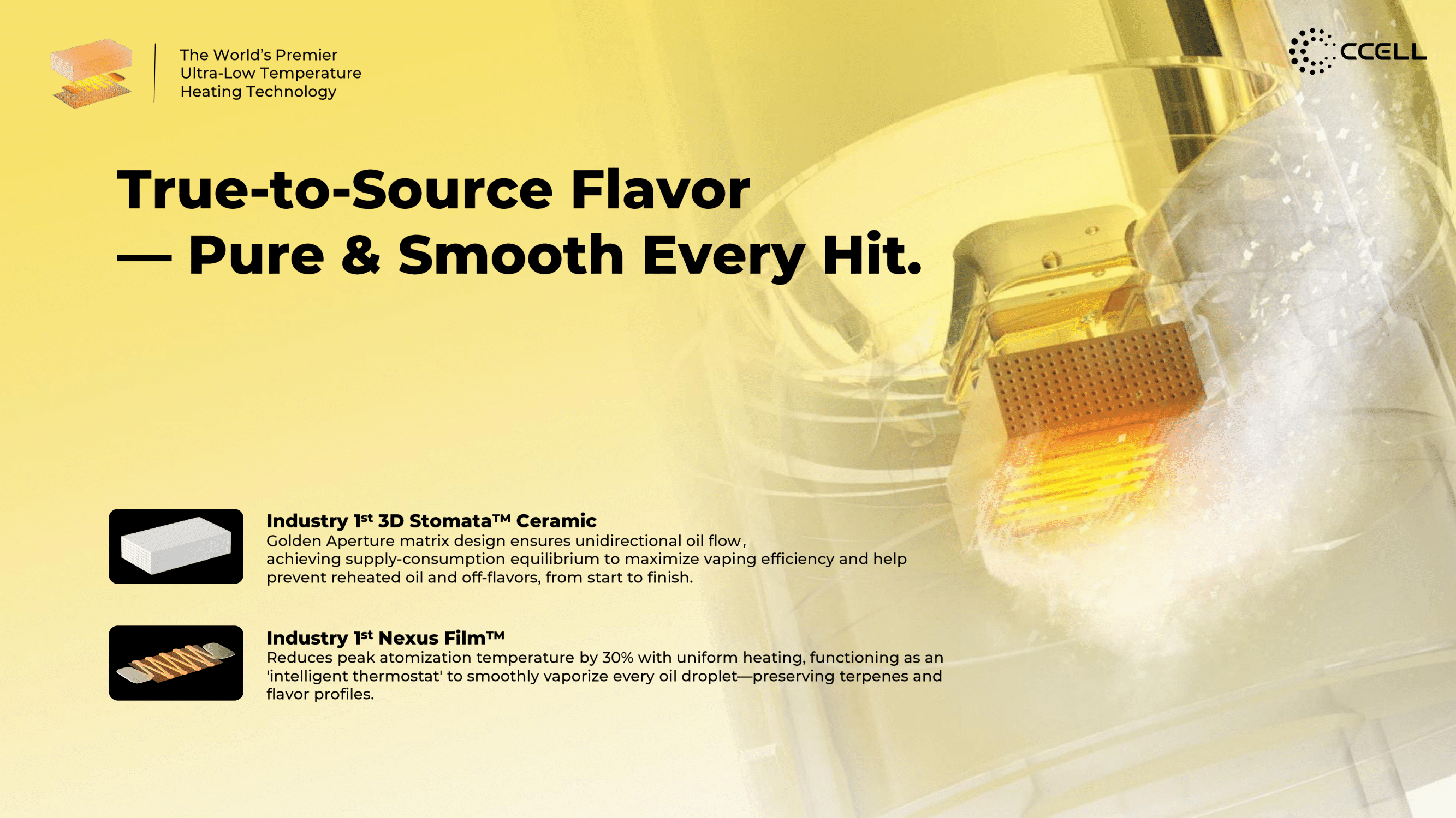 Diama & Vita Launch File (1)-04